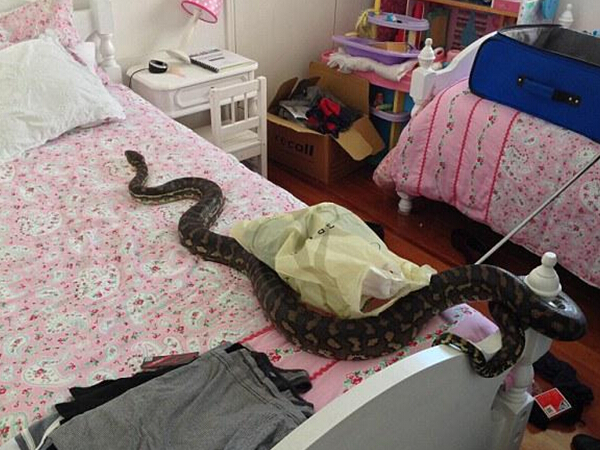 �Ĵ�����һ��ͥԡ�ҵƾ��־�����