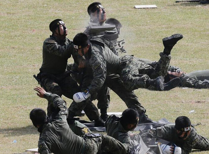 ������ף����66���� ���������ݼ���չʾ��