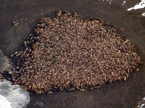 3.5��ֻ����������������ǳ��