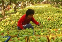 ����ũ������ʱ��ʤ������