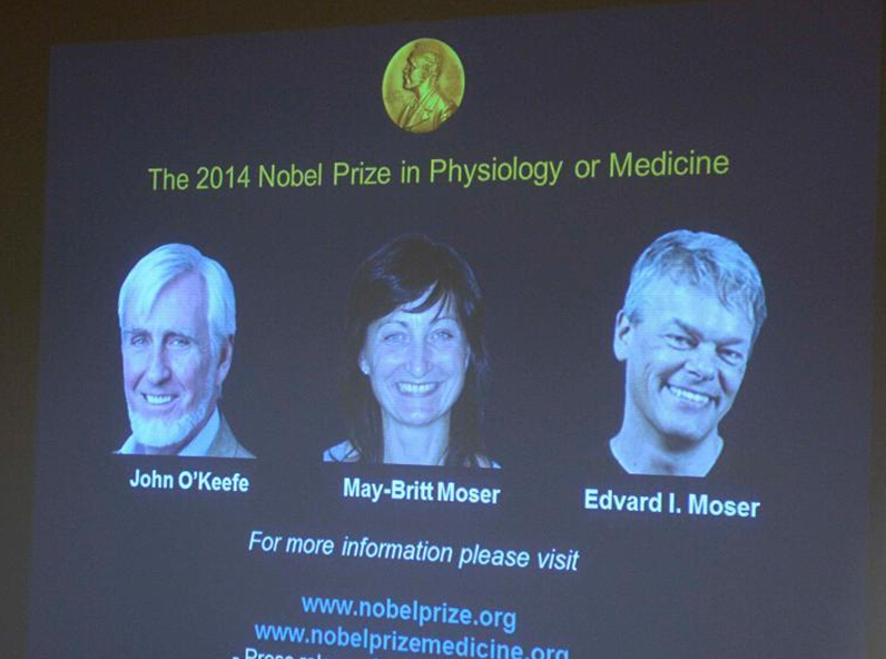 ������ѧ�һ�2014��ŵ��������ѧ��ҽѧ����