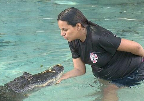 ��������7����׼�����������桰�ⲫ����