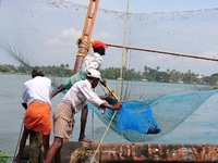 ӡ�ȿ��յġ��й���������