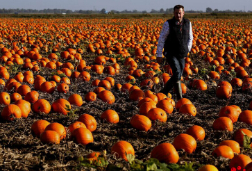 ��ʥ���ڼ� Ӣ�����ſ��Ϲϴ����(������ͼ)��