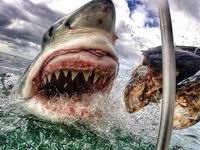 ��ŮҲ�������Ů��ʦ������������Ŀ��������裨��ͼ����