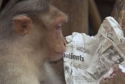 ӡ��⨺����Ϳ���ֽ �Ķ����ű���ࡱ