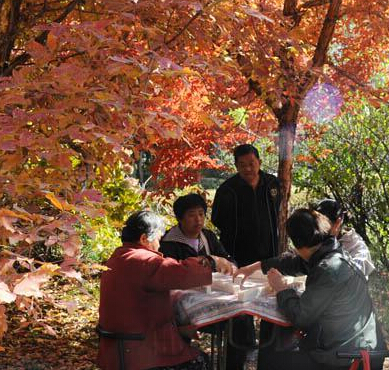 ������ɫ���ˡ�