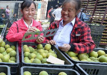 ������ʤ��СС�޺��� �¸����ҵ��