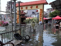 ���Ĵ���Ϯ ��ˮ�������Ž���������