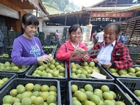 ������ʤ��СС�޺��� �¸����ҵ��