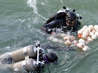 �ӱ�ʡ�����������ˮ�¿��� ͭƤ�а����֮�ռ����⿪��