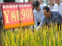 �����ӽ���������900��1000����ֹ�����ֵ�ͻ�ơ�