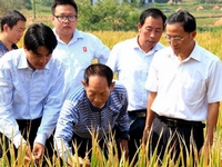 Ԭ¡ƽ���ε��ҹ������ӽ���������Ķ��ǧ���﹥�سɹ���