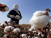 �½������޻����ա�