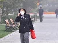 ����з���������ɫԤ����