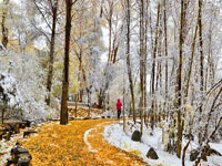 ��������ѩ�����硰ͯ�����硱��