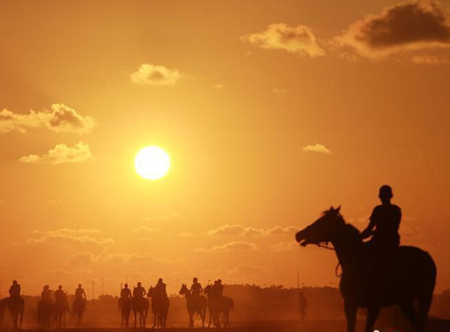 ������������ ����׳����������Ƭ��