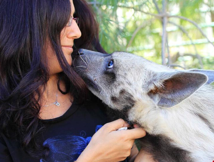 ��������Ǳ��� ������������Ա��