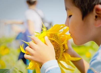 ����ä�˽�ǰϦ ����ä�����Ի��ĺ���