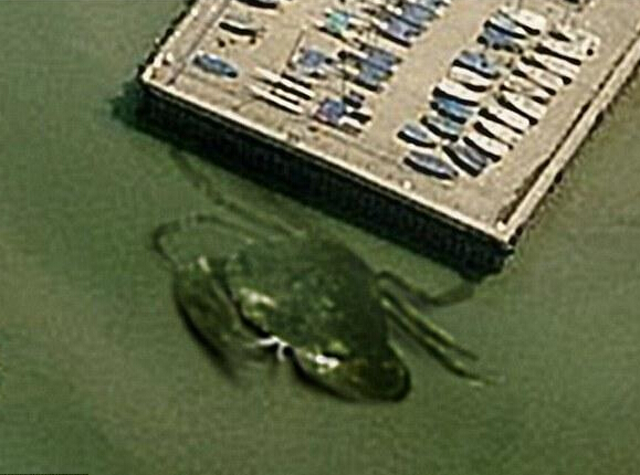 ���ƾ����з��Ǳ����Ӣ����ͷ��