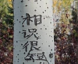 ������ͷ93�ð����������ϰ������顱