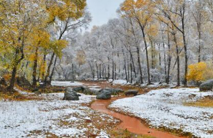 ��������ѩ�����硰ͯ�����硱��