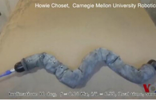 ��������Ա�������λ����� ����ɳ�������ߡ�