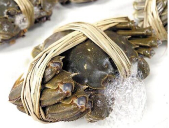 ������зæ ��з���ŵ���