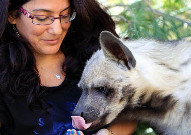 ��������Ǳ��� ������������Ա��