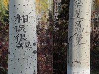 ������ͷ93�ð����������ϰ������顱