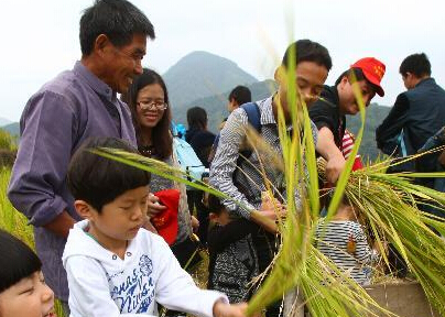 ��������� ��Լ���в͡�