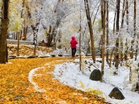 ��������ѩ�����硰ͯ�����硱��