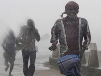 ӡ�ȶ����غ�������ǿ����Ϯ������6��������