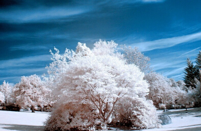 Ӣ����Ӱ�����߽��������˾�չ����������