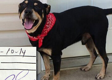 ����С�������󡱣�������������ΰ������Ի�������