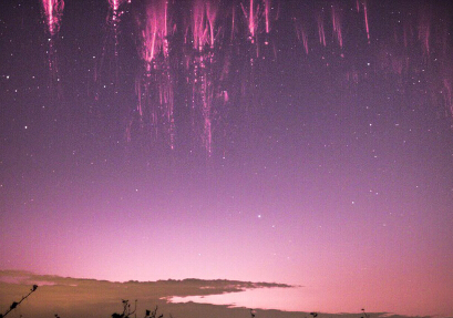 ��Ӱʦ�ɹ�ץ�ĺ���"��ɫ����"��