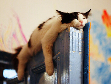 ����������˯��ϲ��ʮ�㡱