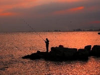 ��ɢ��ϼ�⡱