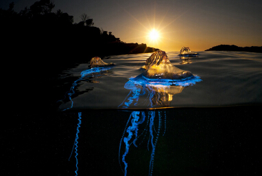 �����ҵ�����2014������Ʒ��