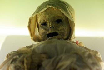 ���룡ͼ����������ֲ�����ʬ����ݡ�