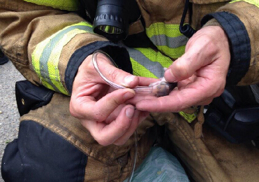 ��������Ա�����оȳ����� ����������