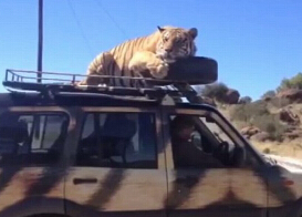 �ϻ�ſ����˯�� �泵��Խ�ϷǱ�������