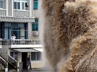 ���Ʒ䡱�ƾ��ˡ�