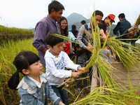 ��������� ��Լ���в͡�