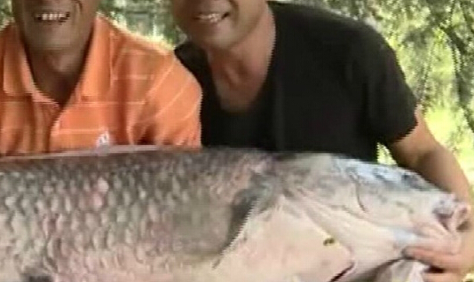 3�˶���7����ϰٽ��ش��㡱