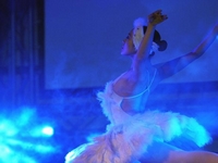 2014����ä�˽��ж����ֻ��ھ����С�