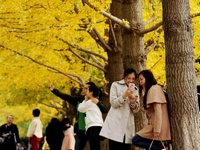 ������ѧ������·�����ӽ�������ˡ�