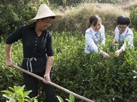 �㽭�������������������������ũ����ҵ�¸���