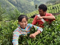 ���ȵ�������������������Ծȡ�