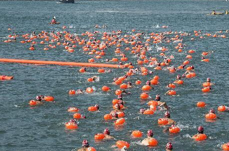 ����ǧ����Ӿ�����μ�2014��ά�۶ɺ�Ӿ����